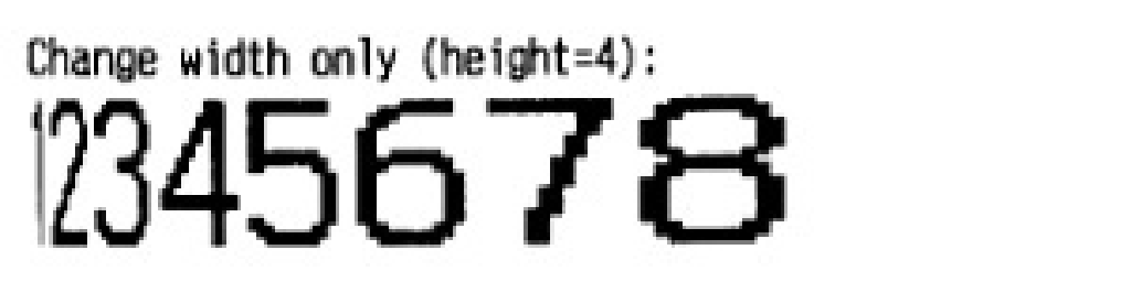 Print larger or smaller text on a thermal receipt printer